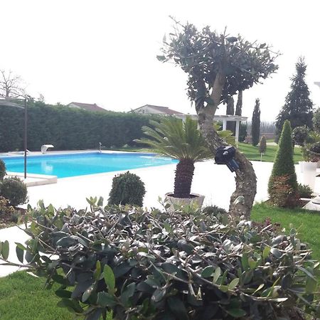 Agriturismo Sant' Isidoro Villa Анани Екстериор снимка